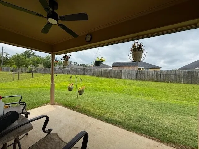 A spacious backyard with mature green grass, perfect for outdoor activities and relaxation.