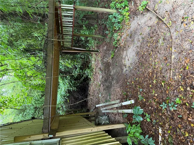 A secluded outdoor area offers abundant natural foliage