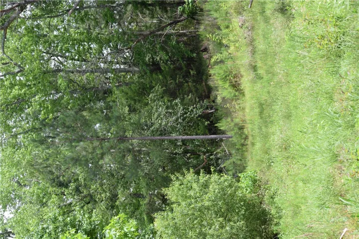 Mature trees and lush greenery offer a tranquil, private setting for your future home.