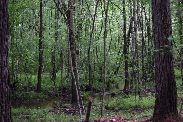 A tranquil, wooded landscape with a gently flowing stream offers a private natural escape.