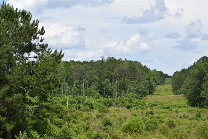 A verdant landscape offers mature trees and a sprawling meadow, ideal for building a secluded estate.
