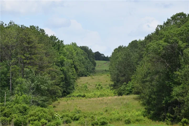 Rolling green landscape bordered by dense, mature trees under a vast sky.