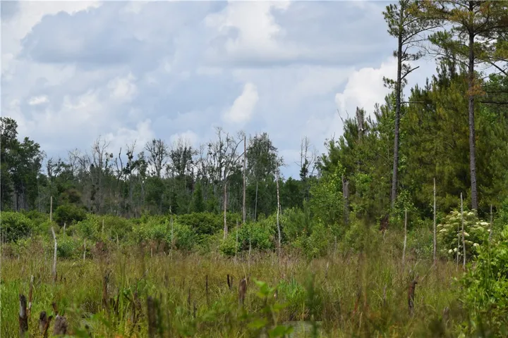 A tranquil, natural wetland with diverse flora awaits your private oasis creation.