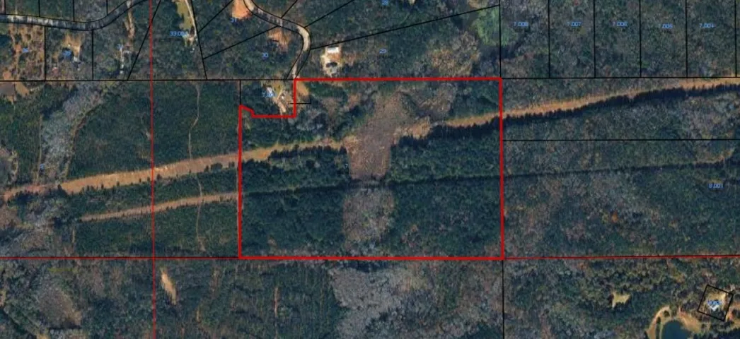 An aerial view revealing a substantial, undeveloped lot marked by a red boundary, presenting a canvas for new construction.