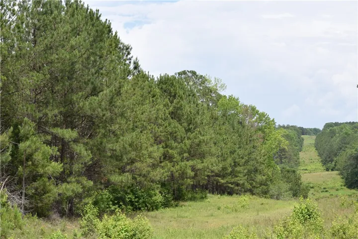 0 Lee Road 757 N/a, Opelika, Alabama 36804
