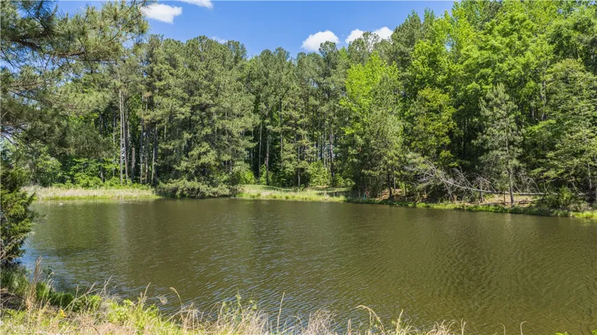 8280 County Road 222 N/a, Five Points, Alabama 36855