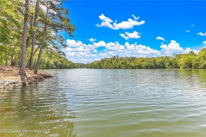 A tranquil lake view bordered by lush woodlands under a clear, bright sky.