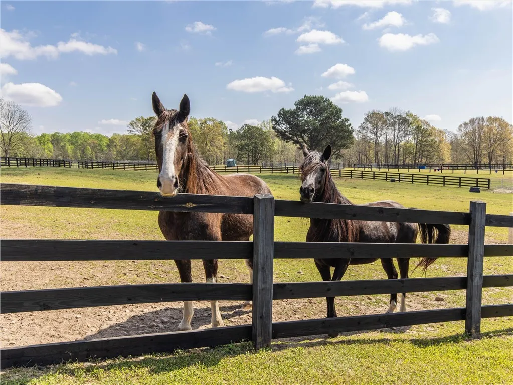 Green pastures and fencing provide a pastoral setting for horses.