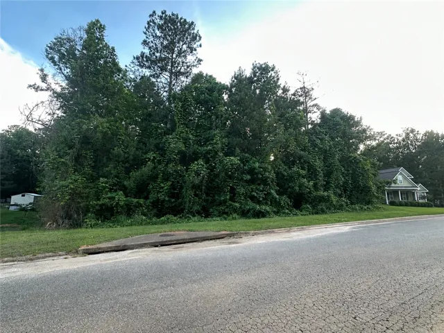 Mature trees line this substantial lot, offering privacy and a verdant backdrop for a future home.