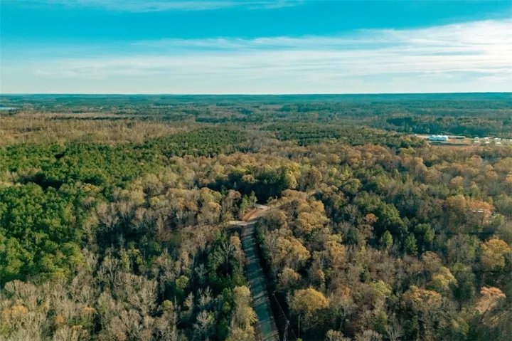 A winding private road meanders through a vast expanse of lush, mature woodlands under a clear sky.