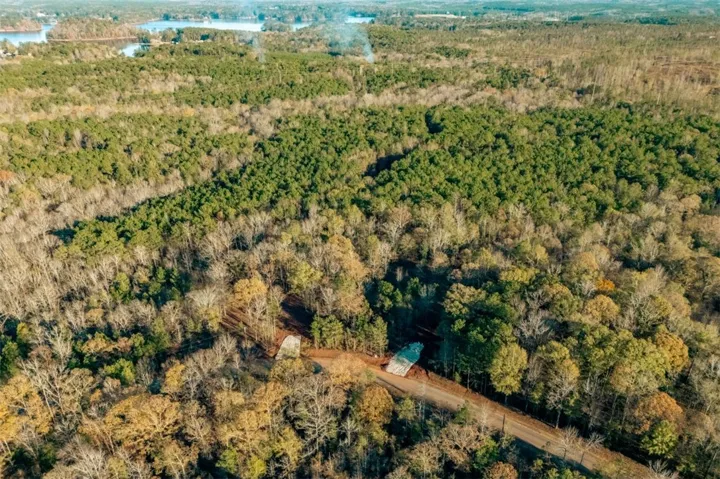 An aerial perspective reveals dense, verdant forest stretching towards distant lakes.