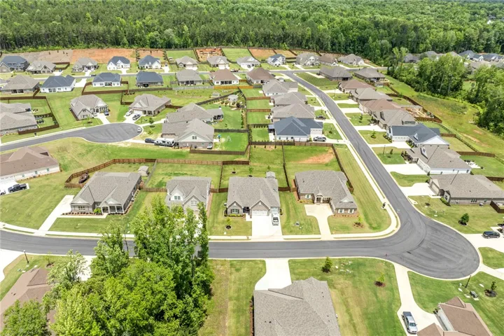 An aerial perspective reveals a developing neighborhood bordered by verdant woodlands, with a quiet street winding through.