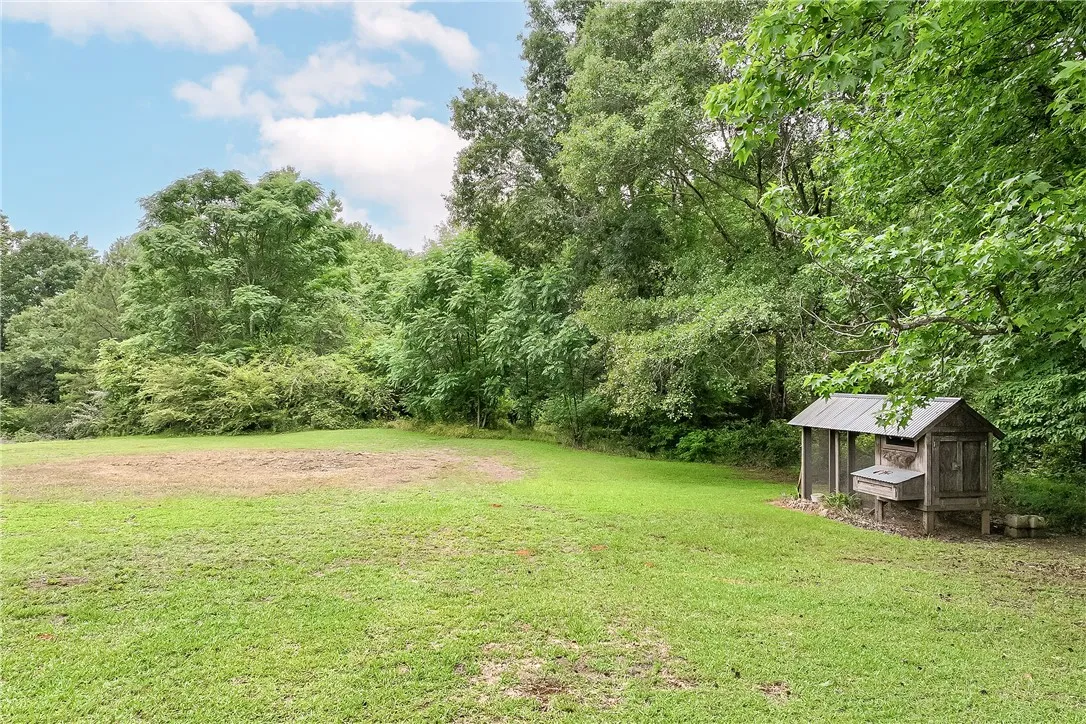 A spacious backyard with mature trees bordering a verdant lawn, ideal for outdoor pursuits.