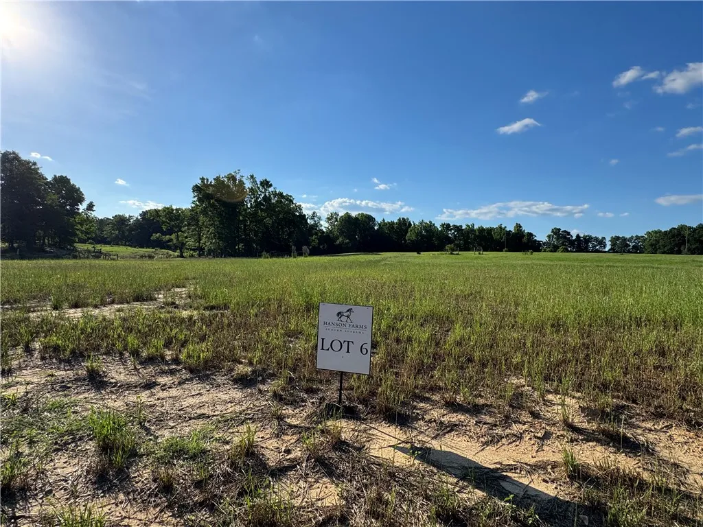A spacious, verdant lot awaits your vision, bordered by a line of mature trees.