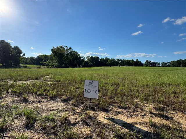 A spacious, verdant lot awaits your vision, bordered by a line of mature trees.