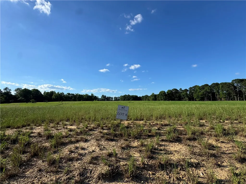 A verdant, open lot awaits your vision, bordered by a dense line of mature trees under a clear sky.