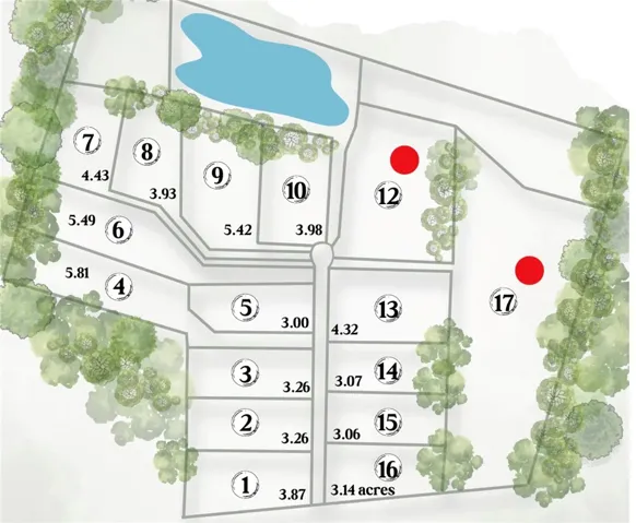 Visualize property divisions, road access, and lake proximity within this detailed community plat map.