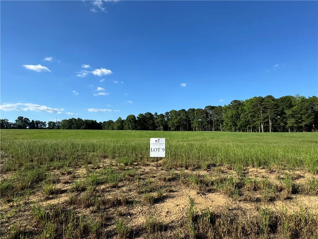 A spacious, verdant lot awaits your future home, bordered by a mature tree line.