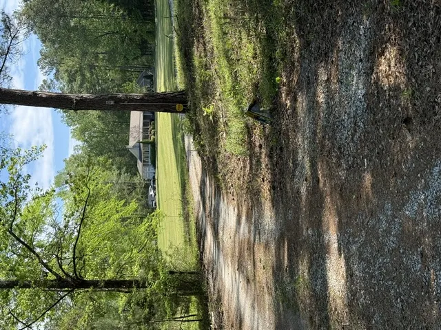 A winding gravel drive leads to a secluded residence nestled among mature trees and lush greenery.