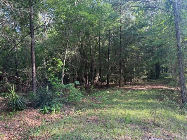 0 Main Street, Notasulga, Alabama 36866