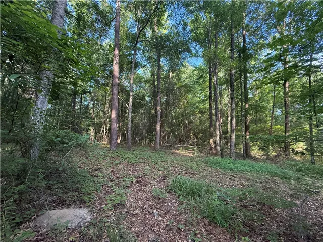 0 Main Street, Notasulga, Alabama 36866
