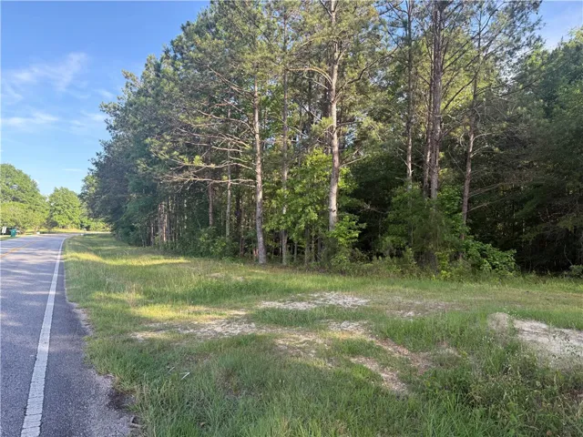 0 Main Street, Notasulga, Alabama 36866