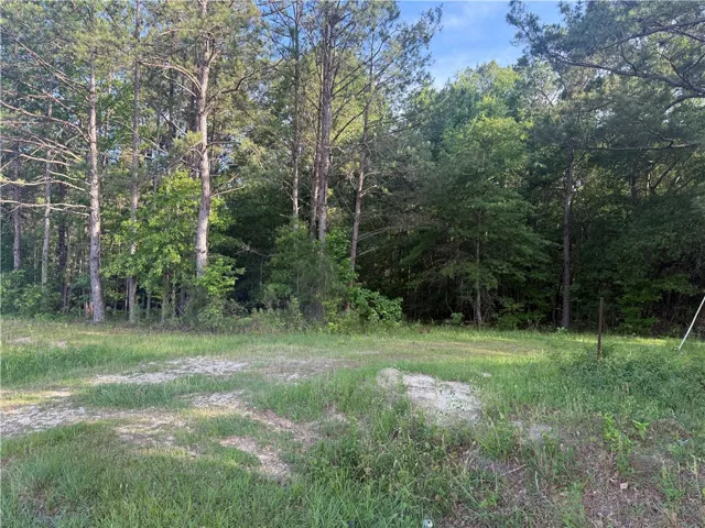 0 Main Street, Notasulga, Alabama 36866