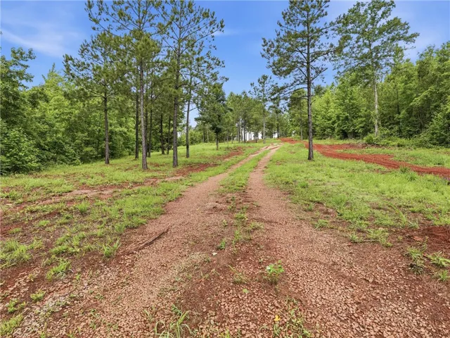 A private gravel driveway winds through a wooded landscape, leading to a secluded building site.