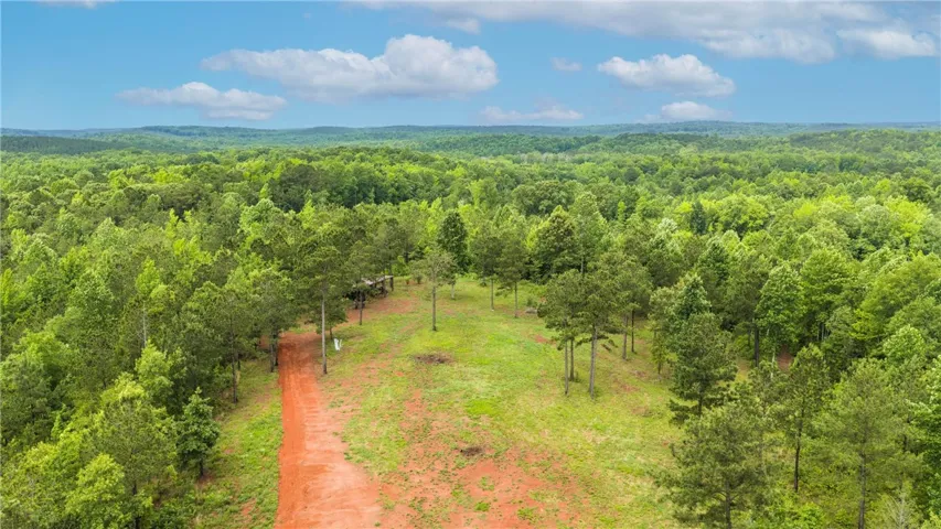 Vast, verdant forest with a winding path promises tranquil, secluded living.