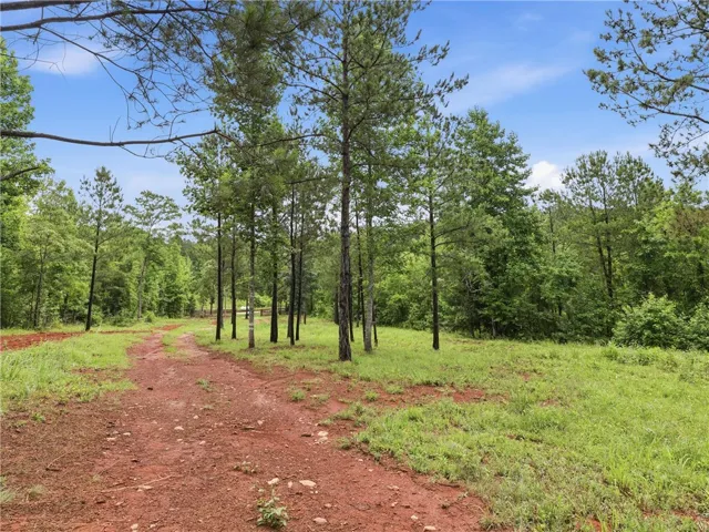 A verdant, well-maintained lot perfect for building, with a natural landscape and mature trees.