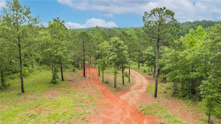 Natural terrain and woodland vistas create a tranquil, buildable canvas for a private retreat.