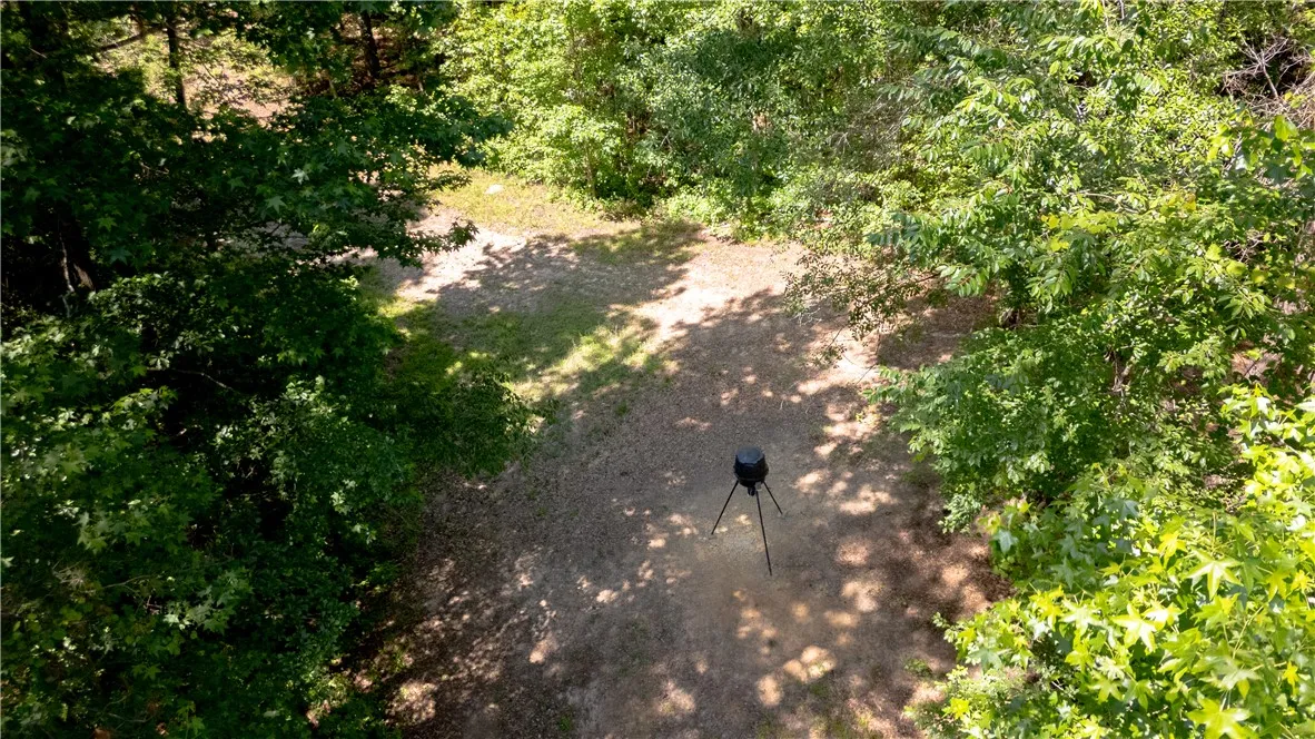 Vast, verdant grounds invite tranquil escapes amidst a natural, wooded setting.