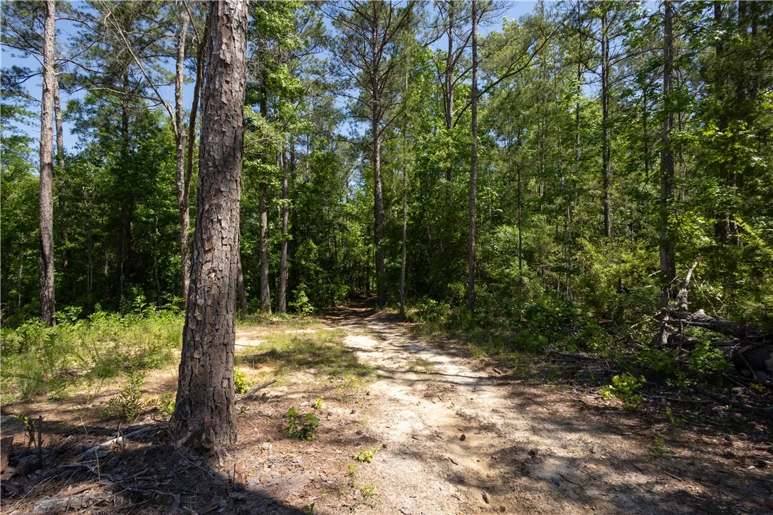A secluded wooded trail winds through a vibrant natural landscape, perfect for a private retreat.