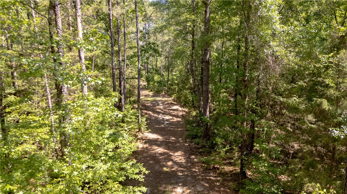 A tranquil path winds through a mature forest, offering a private escape into nature.