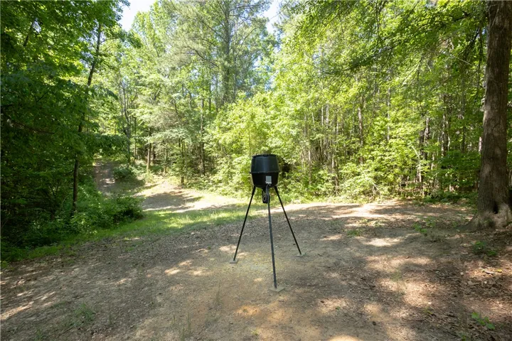 A secluded wooded lot offers ample privacy and connection with nature.