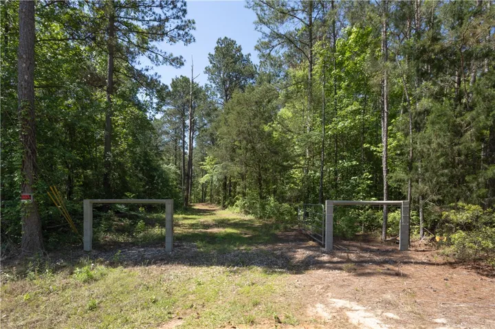 A secluded wooded lot offers privacy and a tranquil escape from urban life.