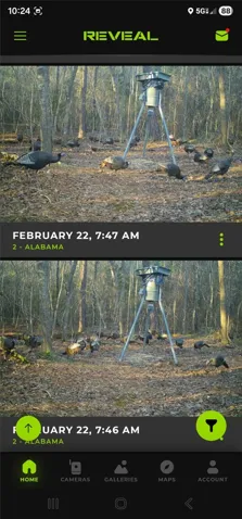 A remote-operated camera captures wildlife activity in a wooded area, offering unique insights.
