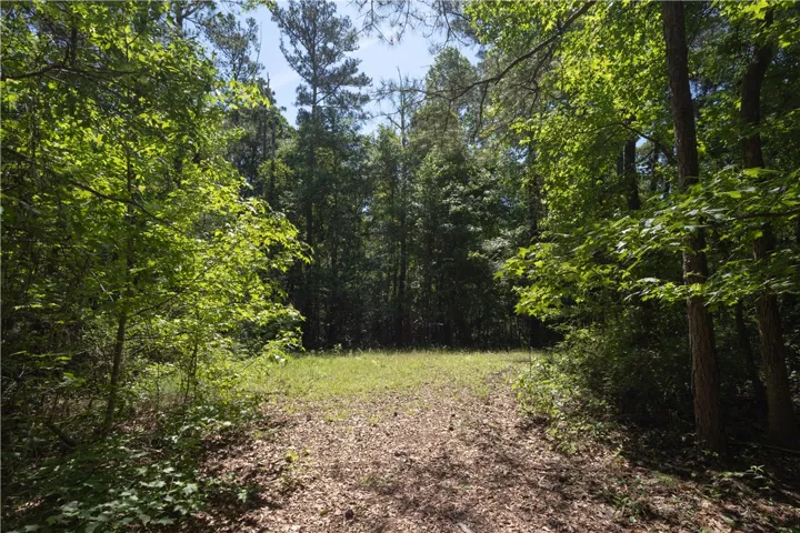 A tranquil clearing surrounded by a verdant canopy of mature trees, offering a private retreat.