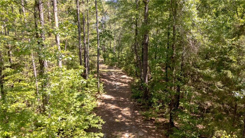 A tranquil path winds through a mature forest, offering a private escape into nature.