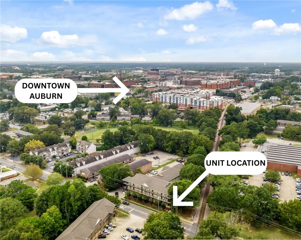 An aerial perspective reveals the property's convenient position near downtown and green spaces.