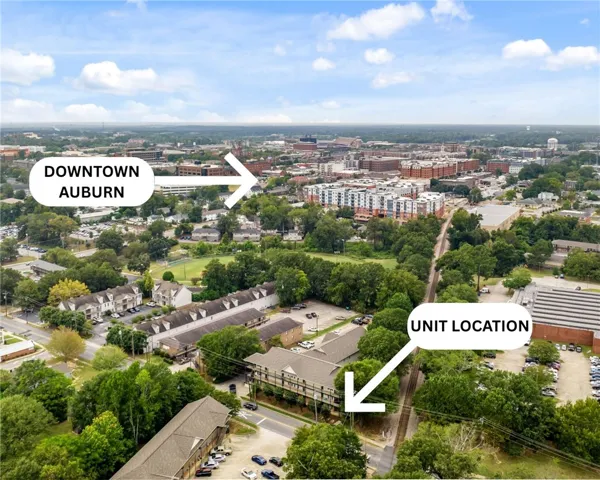 An aerial perspective reveals the property's convenient position near downtown and green spaces.