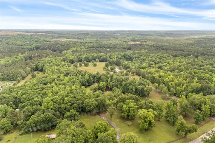 Explore this expansive, heavily wooded estate offering ultimate privacy and connection with nature.