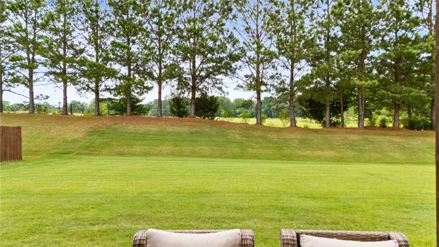 A verdant, open lawn provides a natural boundary to a serene line of mature pine trees.