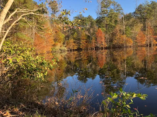 Fall photo.