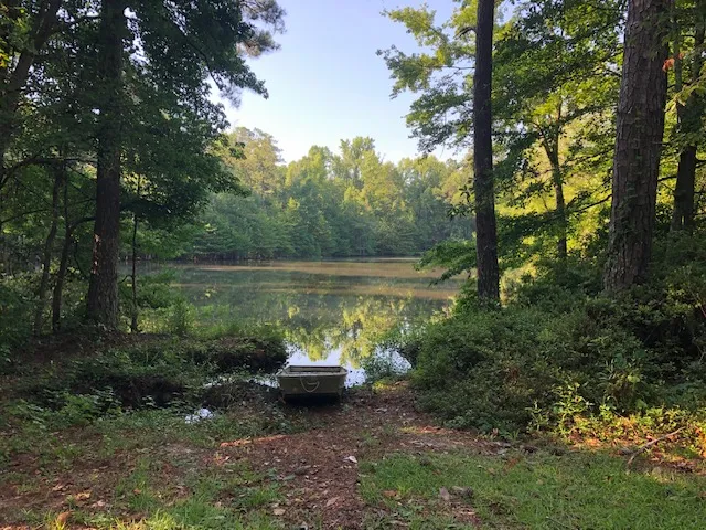Fall photo.