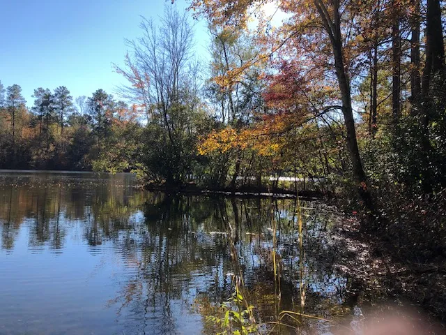 Fall photo.