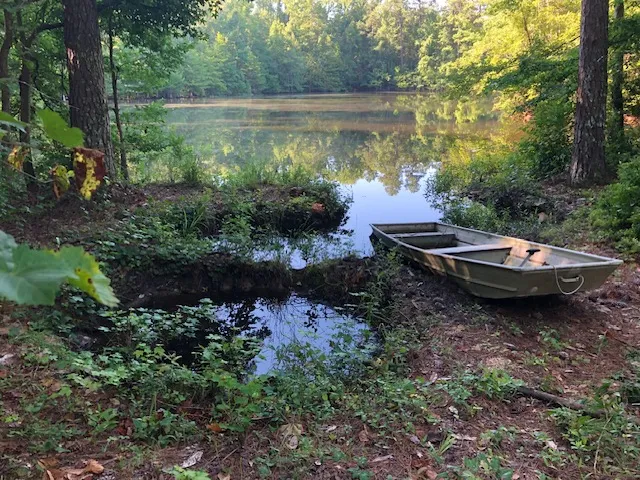 Pond access. Fall photo.