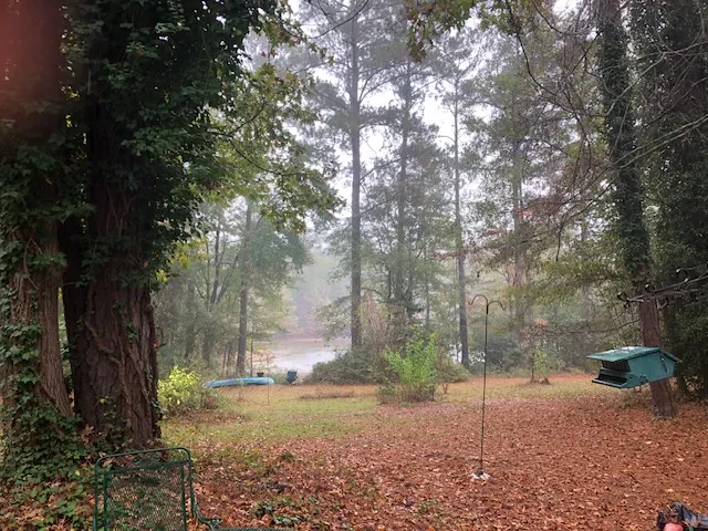 Fall photo.