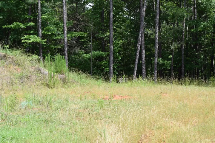 A spacious parcel offers a generous building envelope framed by mature, verdant trees.