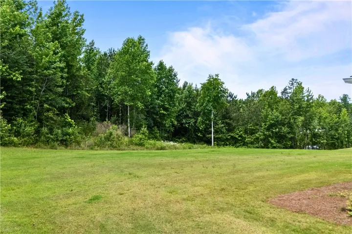 A verdant, open lot bordered by a lush treeline, offering serene natural privacy.